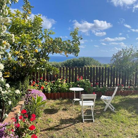 Appartamento Lavigna Marina di Camerota Dış mekan fotoğraf
